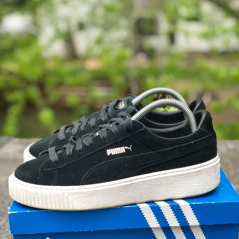Puma creepers